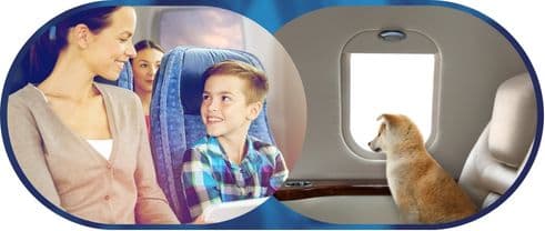 AskPupper travel tools for flight fares, travel times, pet travel, transport costs and holiday dates